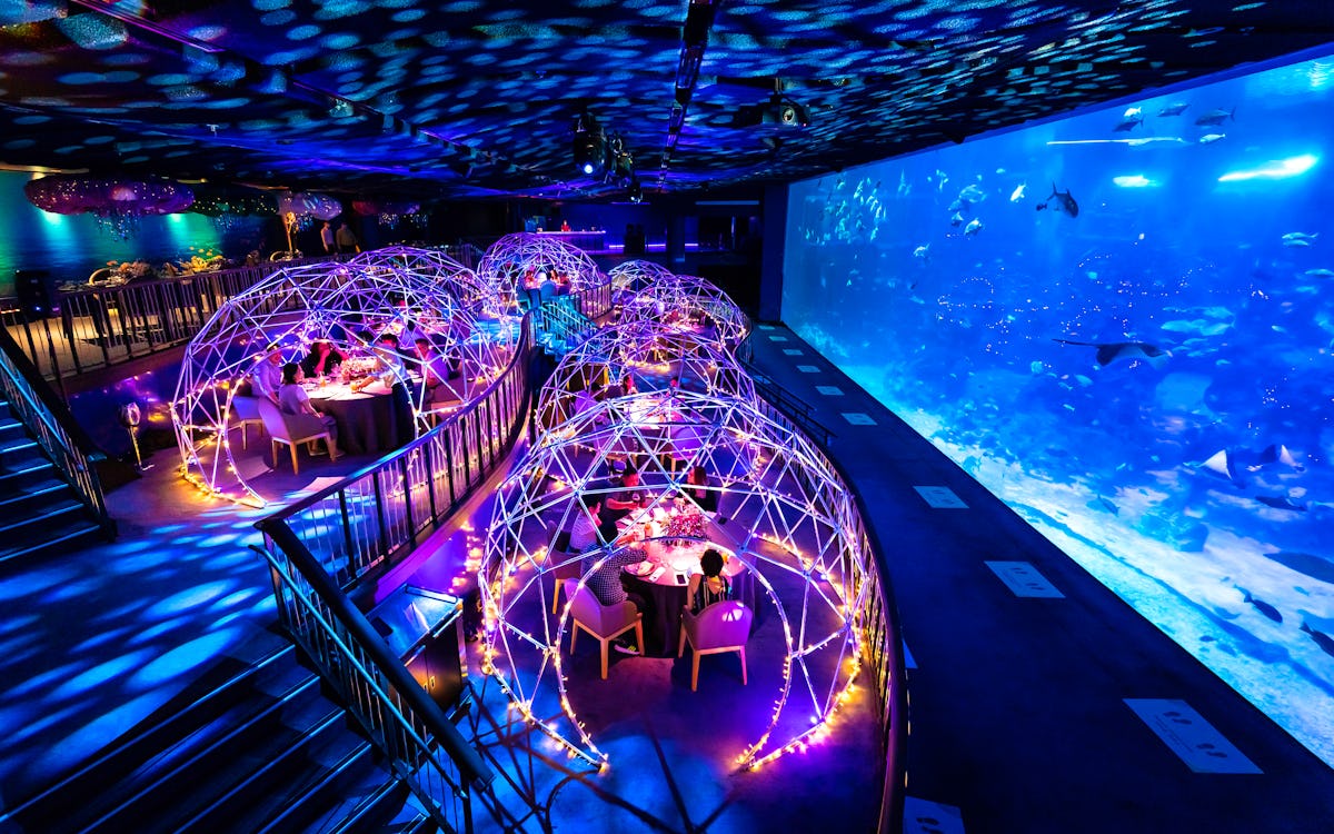 New experiential dining at Aqua Gastronomy