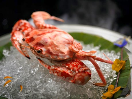 Paradise Classic at Suntec City