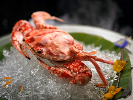 Paradise Classic at Suntec City