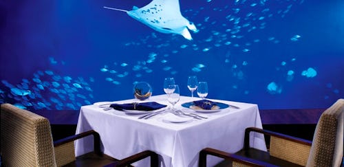 Ocean Restaurant by Cat Cora